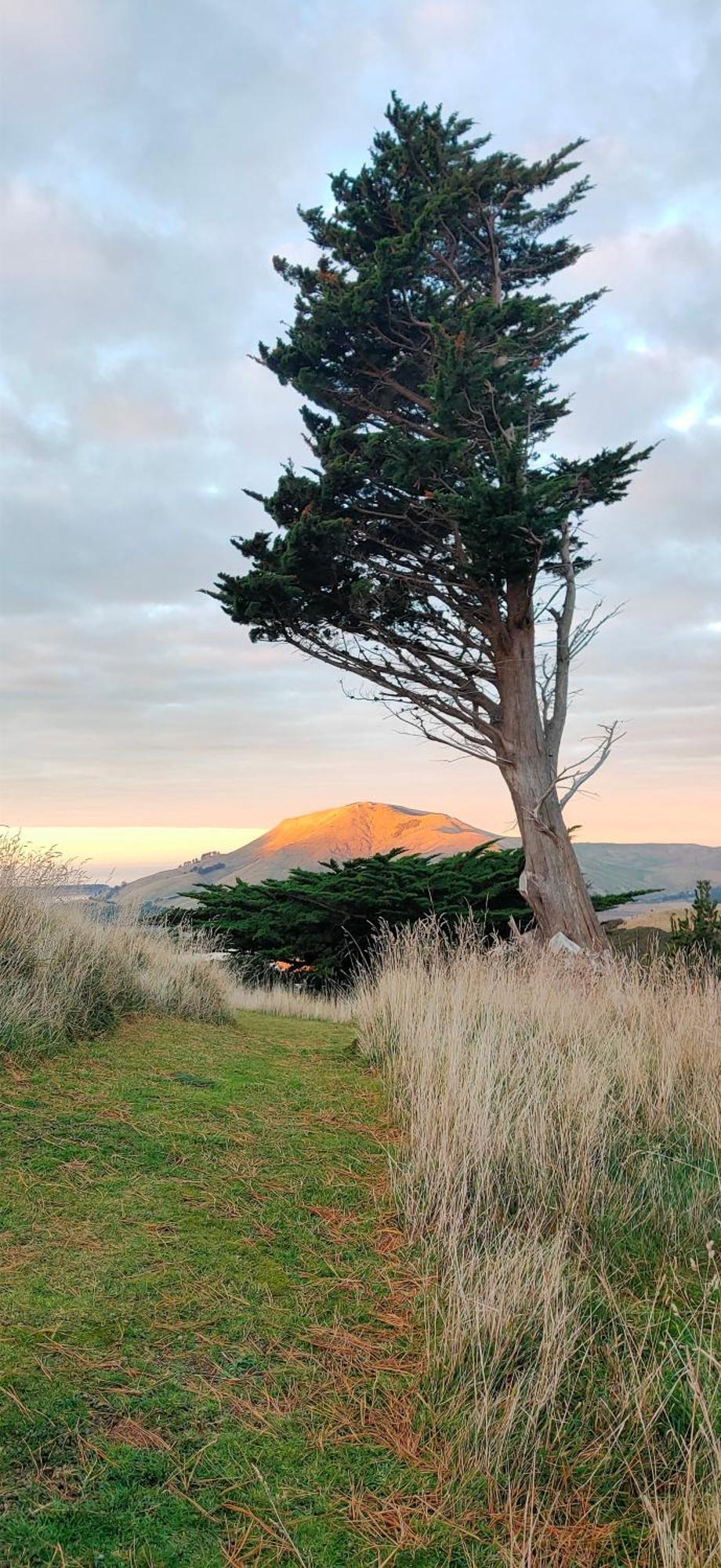 Pukemara Retreat Lejlighed Sandymount Eksteriør billede